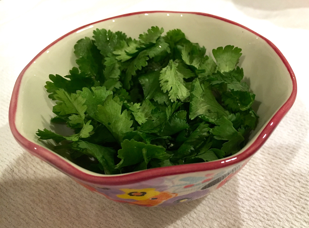 Cilantro