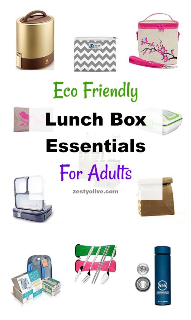 eco friendly lunch boxes for adults