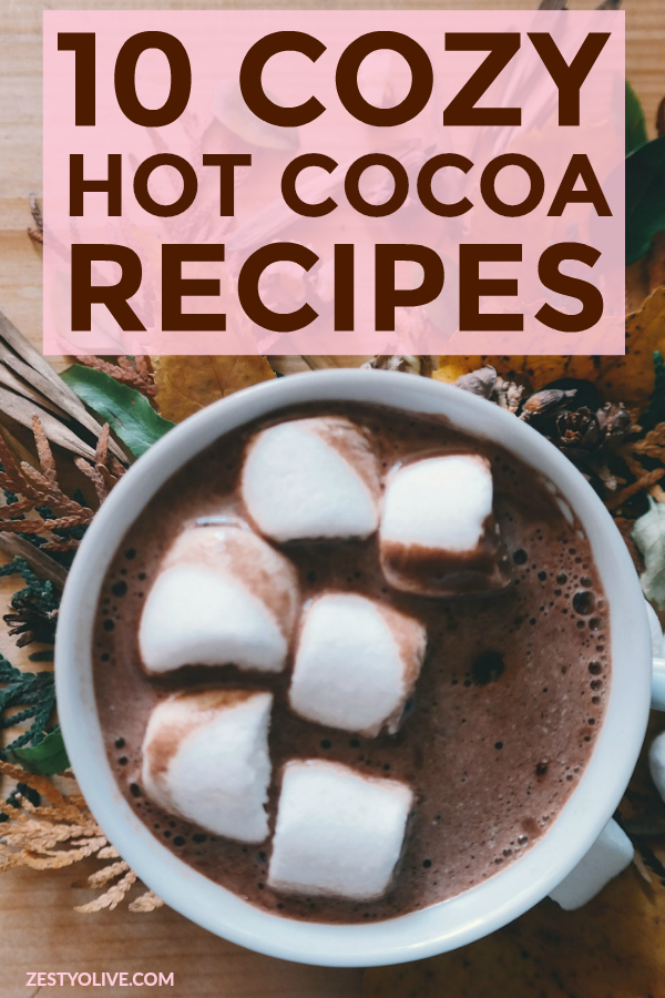 http://zestyolive.com/wp-content/uploads/2018/11/cozy-hot-cocoa-recipes-2.png